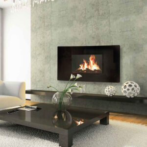 Flueless Fire